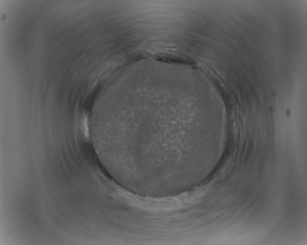 X0000077390042200611032012