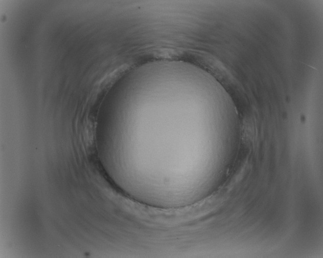 X0000077390043200611032012