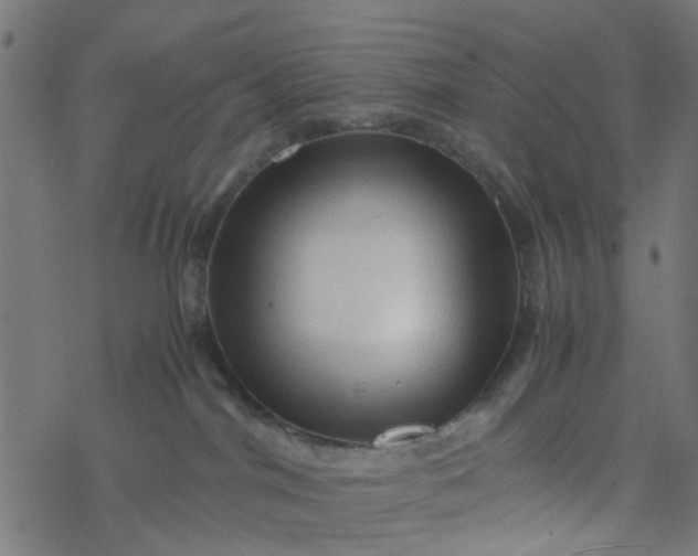 X0000077390044200611032012