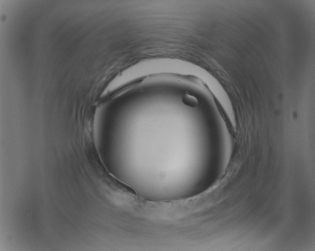 X0000077390045200611032012