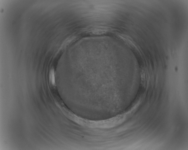 X0000077390046200611032012