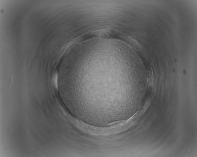 X0000077390047200611032012