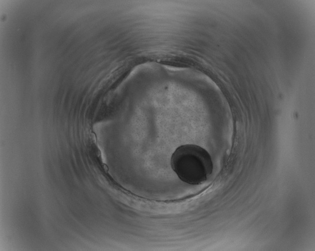 X0000077390048200611032012