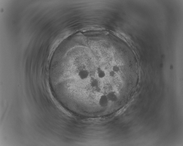 X0000077390049200611032011