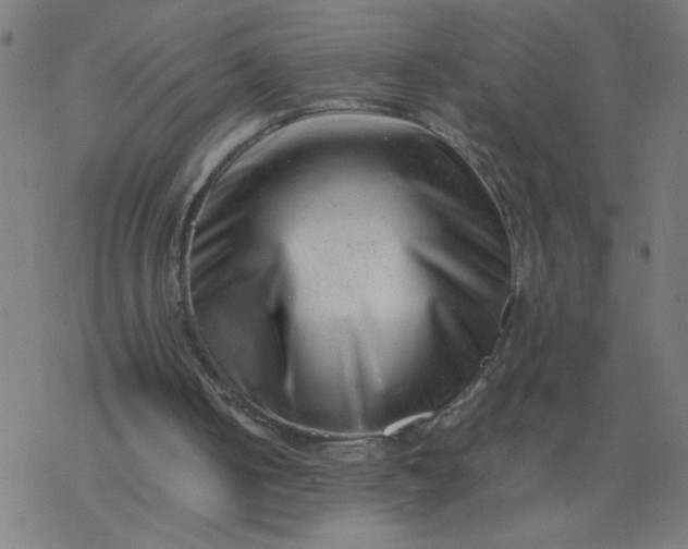 X0000077390050200611032011