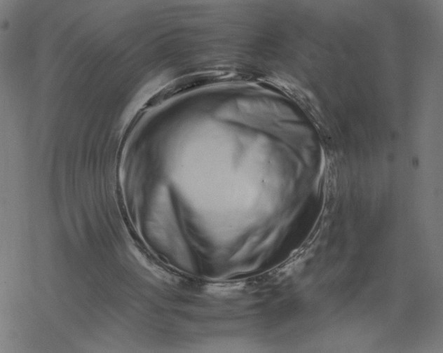 X0000077390051200611032012