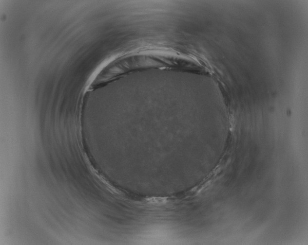 X0000077390052200611032012