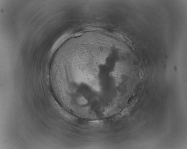 X0000077390053200611032012