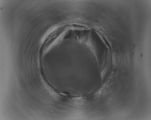 X0000077390054200611032012