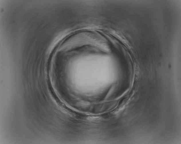 X0000077390055200611032012