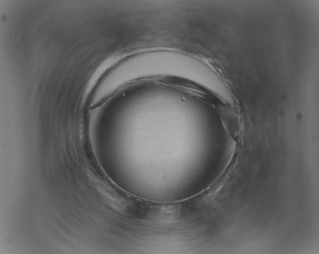 X0000077390056200611032012