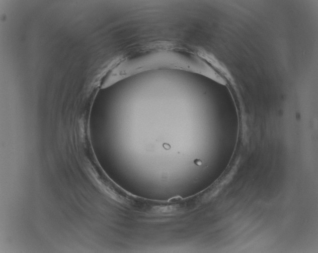 X0000077390057200611032012