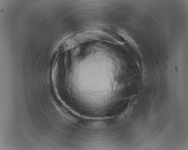 X0000077390058200611032012