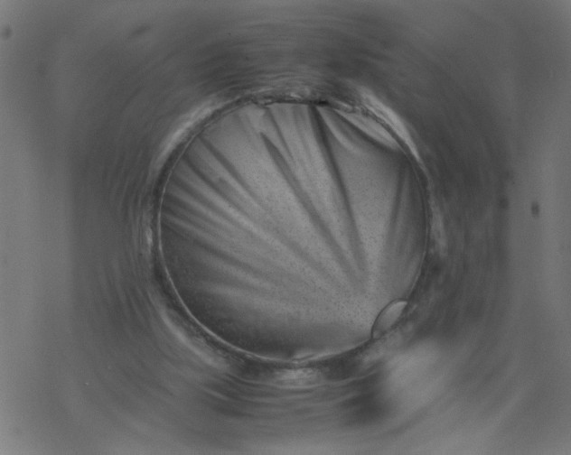 X0000077390059200611032012