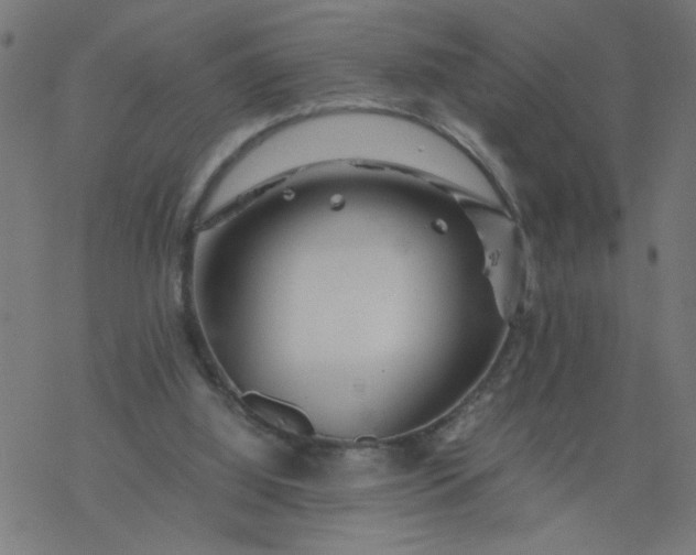 X0000077390060200611032012