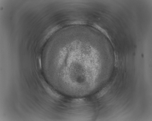 X0000077390061200611032012