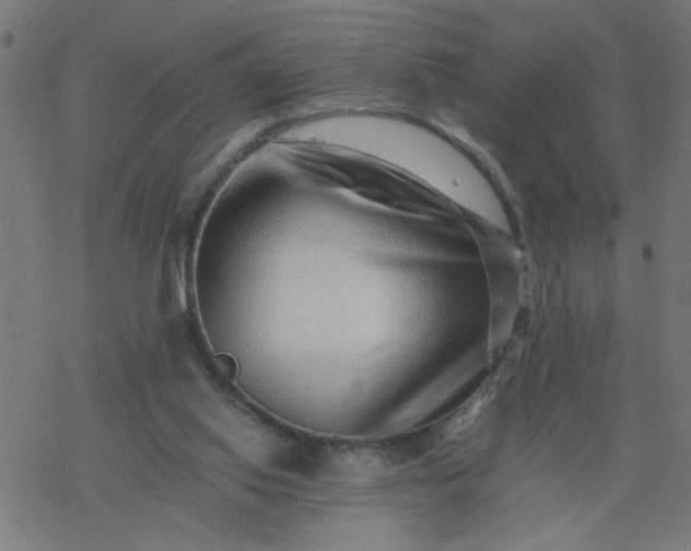 X0000077390062200611032012