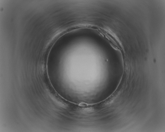 X0000077390063200611032012