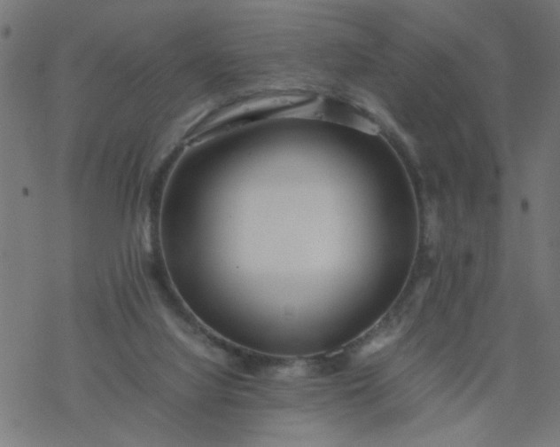 X0000077390068200611032012