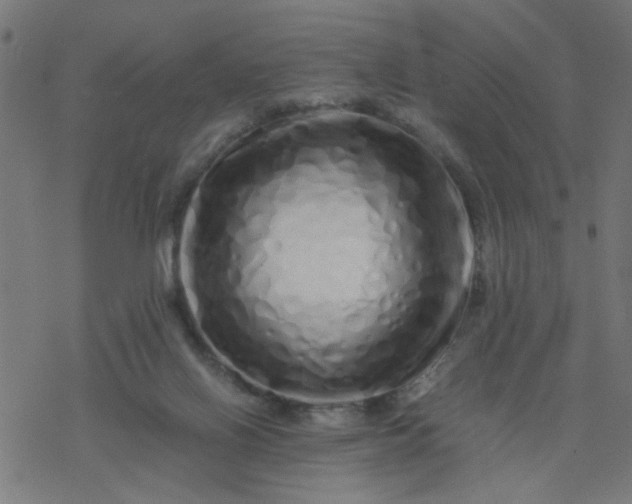 X0000077390070200611032012