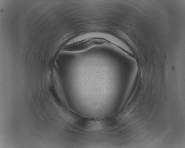 X0000077390071200611032012