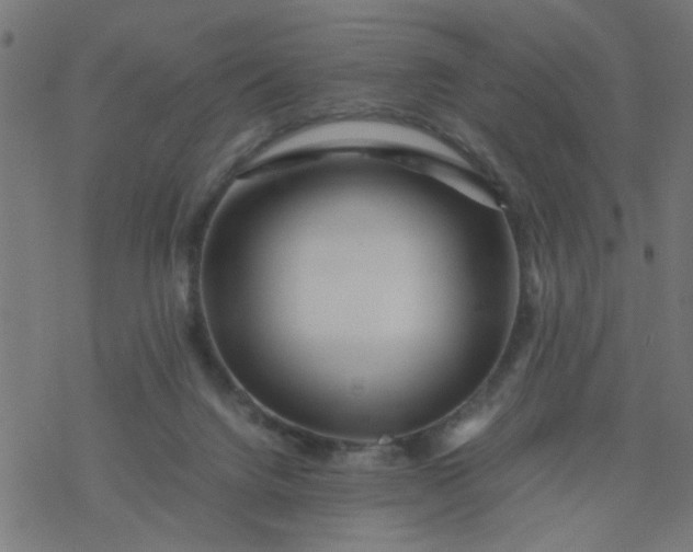 X0000077390072200611032012