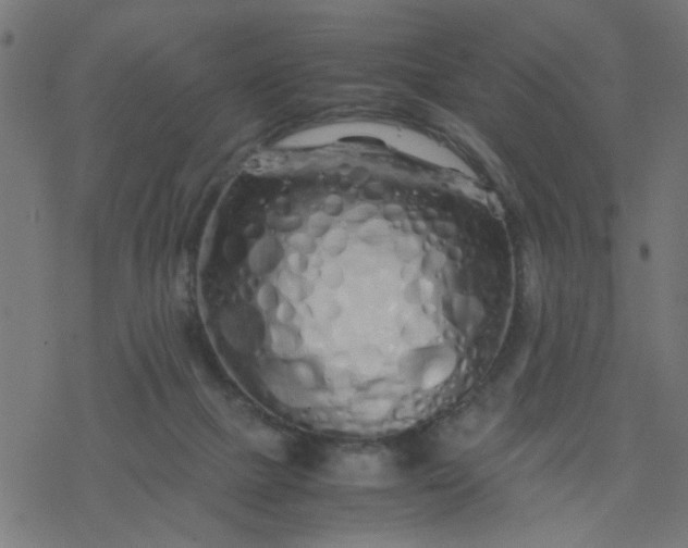 X0000077390073200611032012