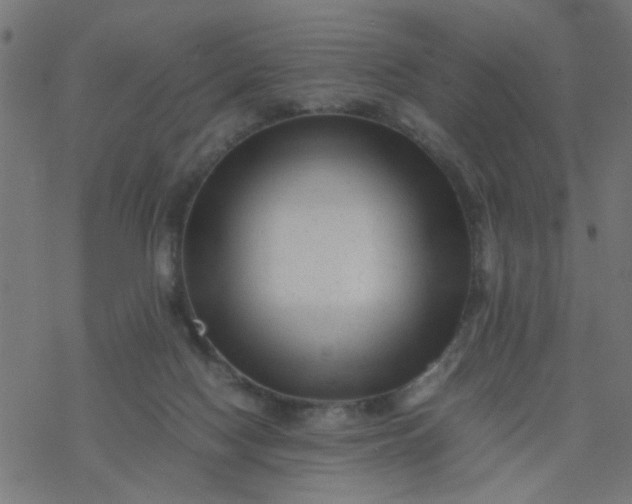 X0000077390074200611032012