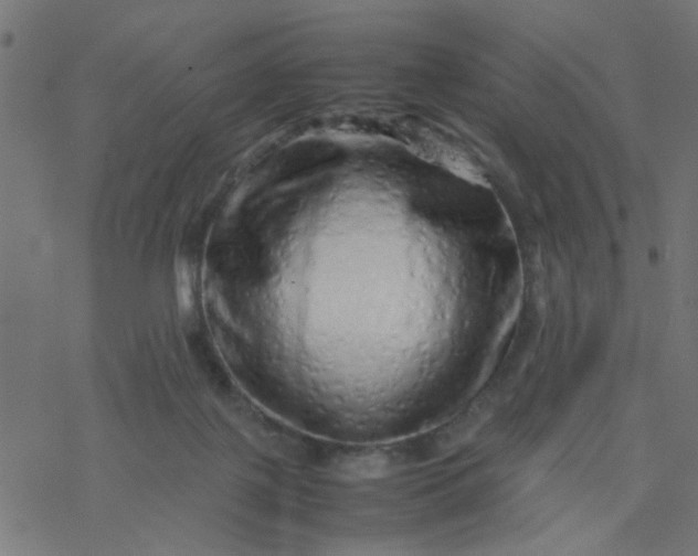 X0000077390075200611032012