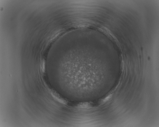 X0000077390076200611032012