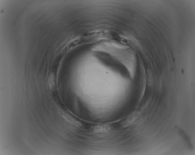 X0000077390077200611032012