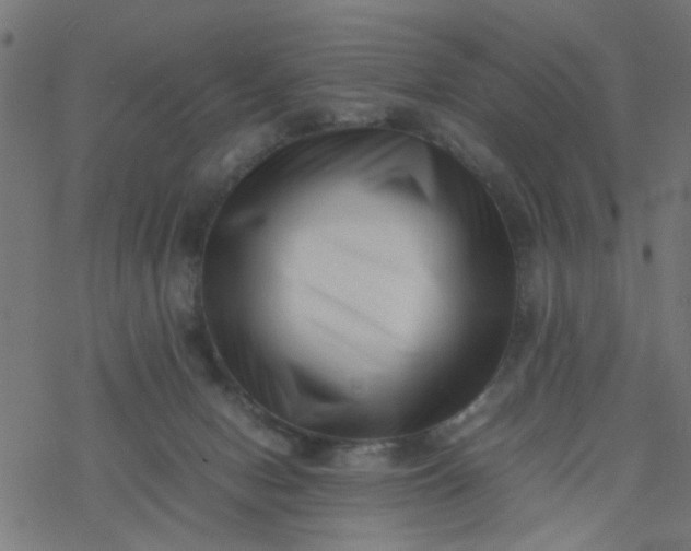 X0000077390078200611032012