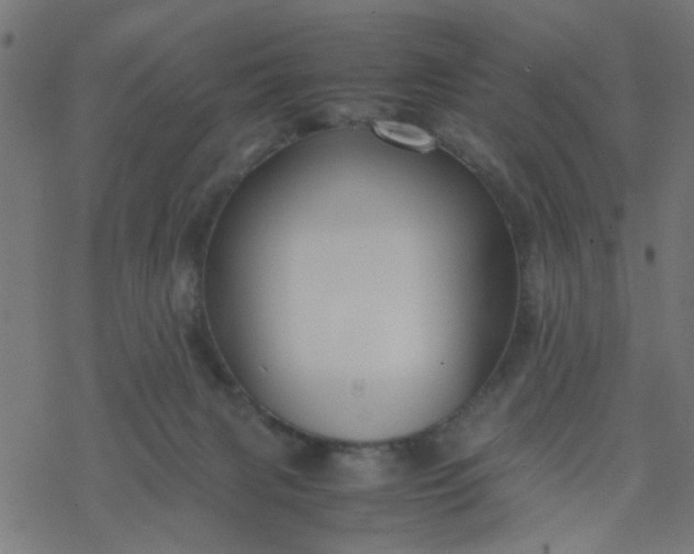 X0000077390079200611032012