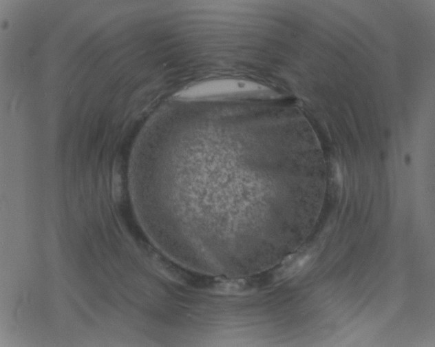 X0000077390080200611032012