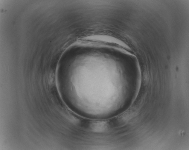 X0000077390081200611032012