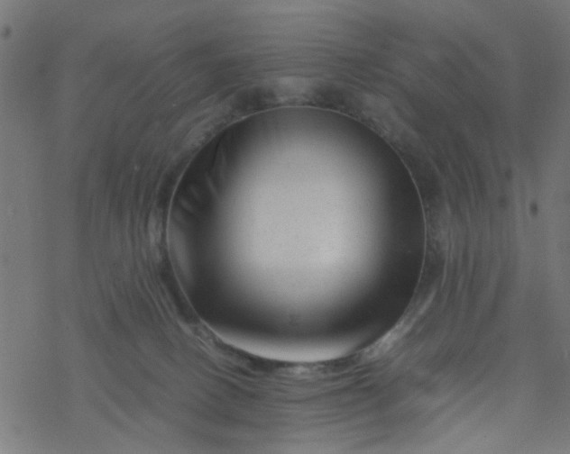 X0000077390082200611032012