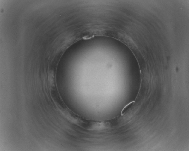 X0000077390083200611032012