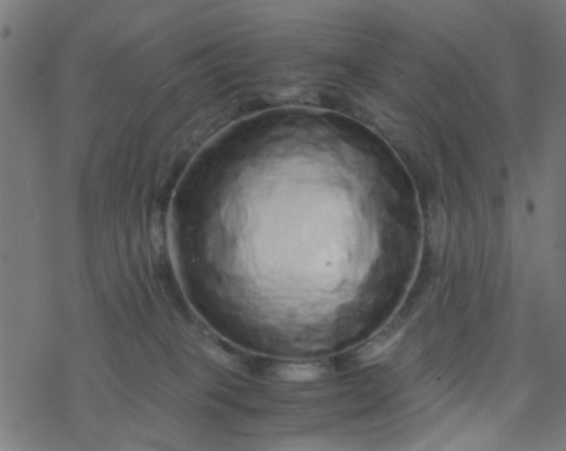 X0000077390085200611032012