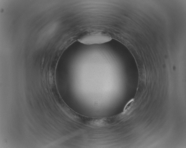 X0000077390086200611032012