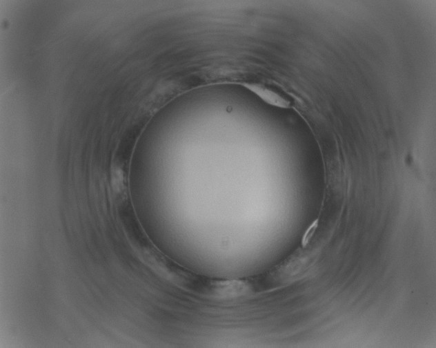 X0000077390087200611032012