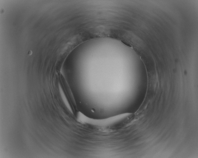 X0000077390088200611032012