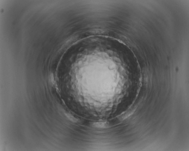 X0000077390089200611032012