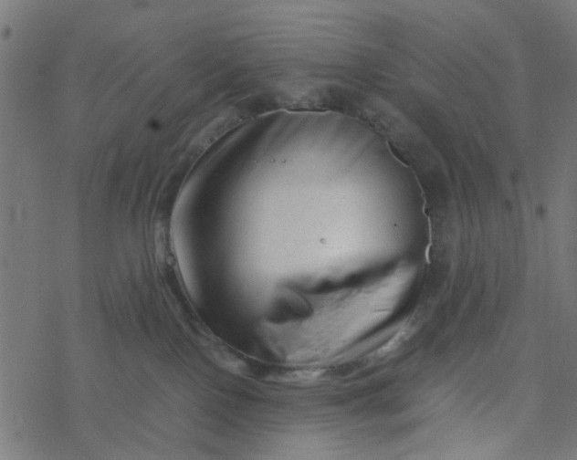 X0000077390090200611032012