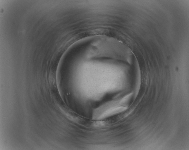 X0000077390091200611032012