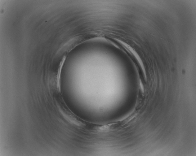 X0000077390092200611032012