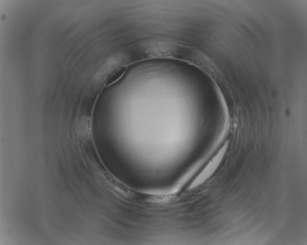 X0000077390093200611032012