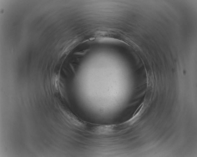 X0000077390094200611032012