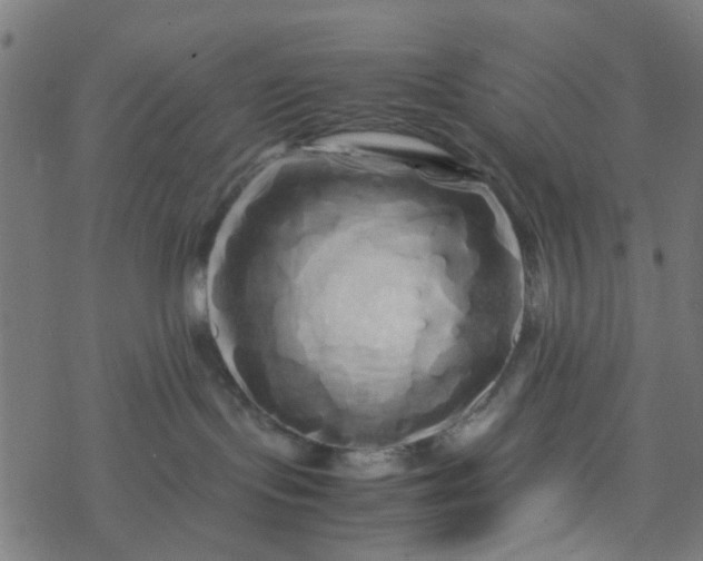 X0000077390095200611032012