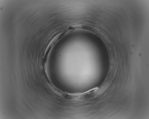 X0000077390096200611032012