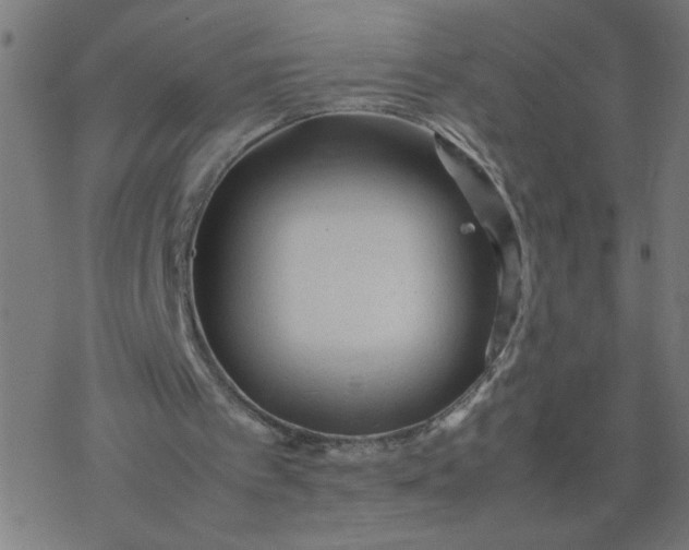 X0000077390097200611032011